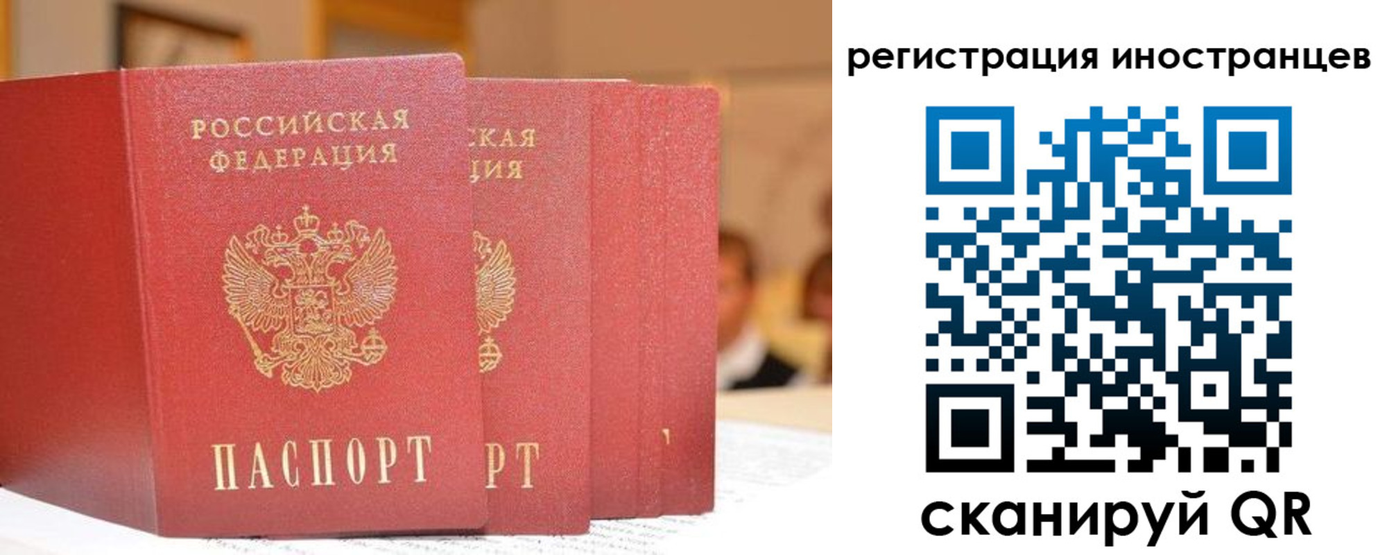 где прописаться в Судогде